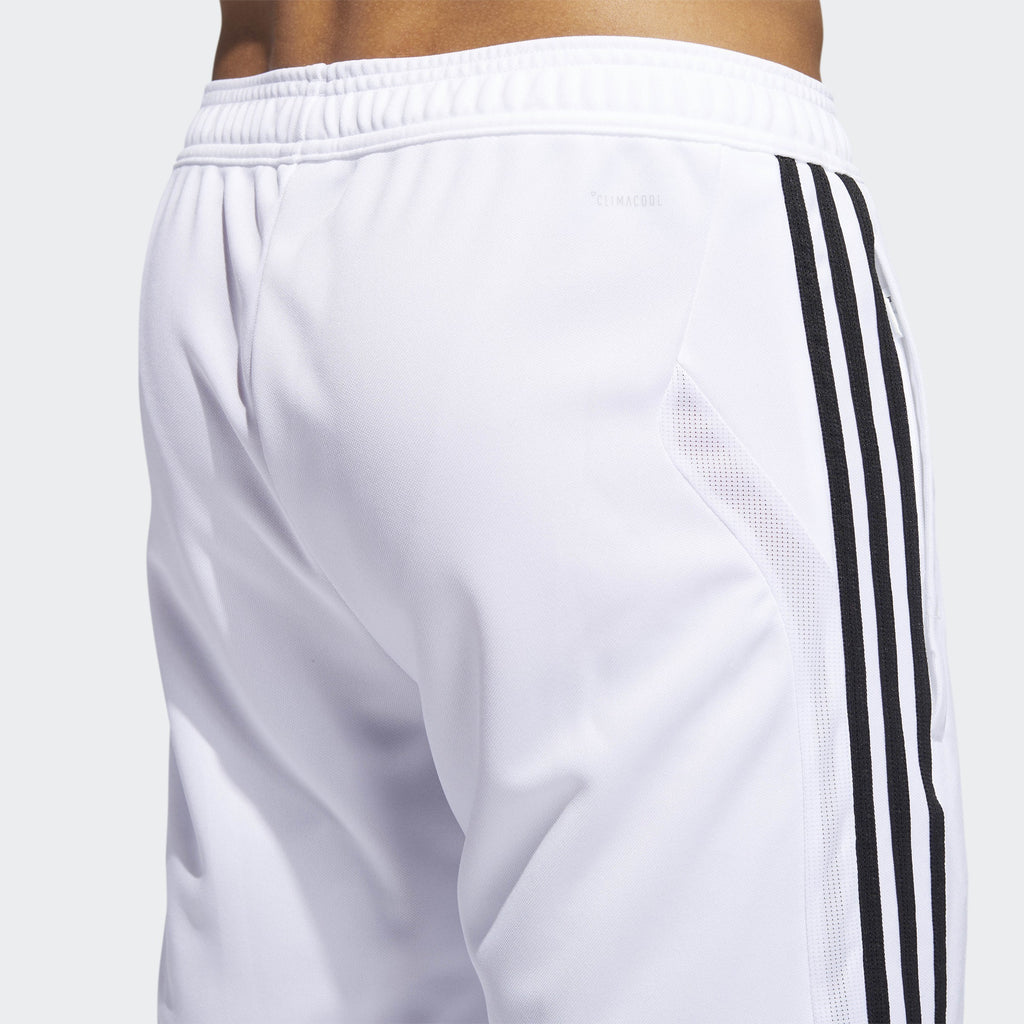 Men's Tiro 19 Training Pants - White/Black